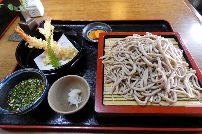 黒神埋没鳥居などの桜島噴火の脅威の跡を見て回ると、お昼が近付いてきます。<br /><br />そこで昼食を食べようと、垂水名物 七代目 十五郎そばを訪ねます。<br />