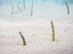 大洗水族館と明太子とメロン