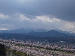 宮城県グルメドライブと、柴田町の一目千本桜