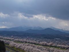 一目千本桜