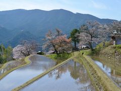 三多気（みたけ）のサクラを楽しむ