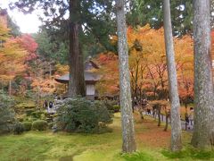 錦秋の洛北を歩く　１．京都国際会館から大原三千院へ