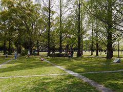 ウオーキング　　午後に各務原市民公園辺りを散歩　花を愛でる