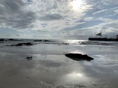 年末年始ガラパゴス子連れ旅行記3～イザベラ島