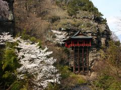 信州・小諸（懐古園、布引観音）　真田（長谷寺）桜見物！！