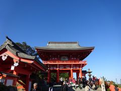 宮崎県 都井岬 鵜戸神宮 青島神社 ドライブ