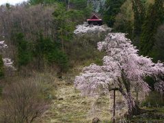 信州・高山村「赤和観音」・長野市 若穂保科「清水寺(せいすいじ)」 ”枝垂れ桜”見物！！