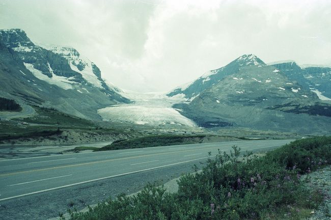 Athabasca Glacier, 1979.