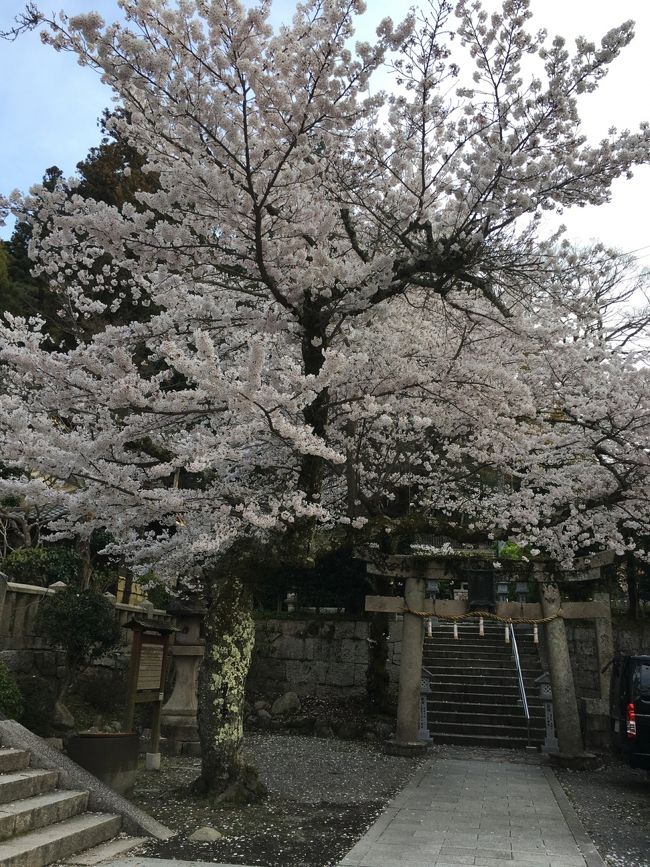 私の唯一の趣味である旅行♪普段は国内より海外派ですが今は到底無理 泣<br /><br />という訳で近場でサクッと楽しんで来ました♪