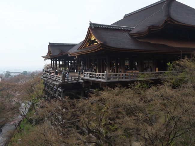 桜を撮りに京都へ、最終日です。この日は朝から細かい雨が降っておりました。テンションは上がってきませんが桜の名所と言われる清水寺と風神雷神図屏風のある建仁寺を目指します。晴れるに越したことはありませんが雨でも京都はそれなりに風情がありますね。