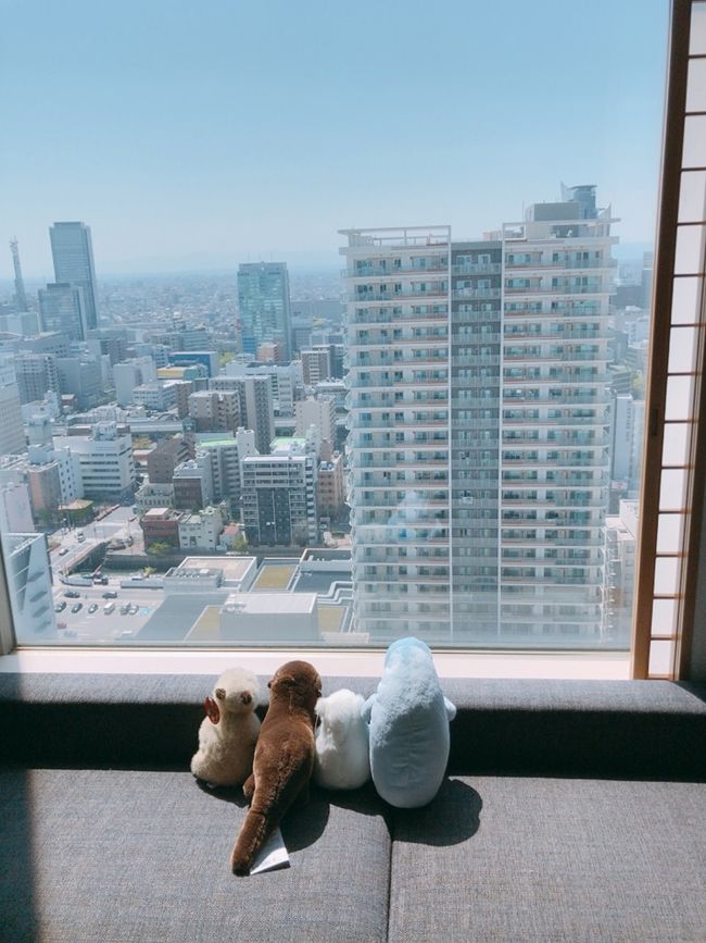 結婚記念日のディナーへ<br />うがい、手洗い、マスク等をしっかりと<br />人との直接接触はもっての外、接触も回避しての外出でした