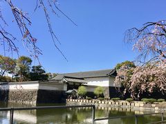 桜の皇居周辺散歩