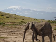 ケニア・サファリ旅行②アンボセリ