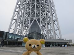 東京見物して来るクマ―（スカイツリー編）