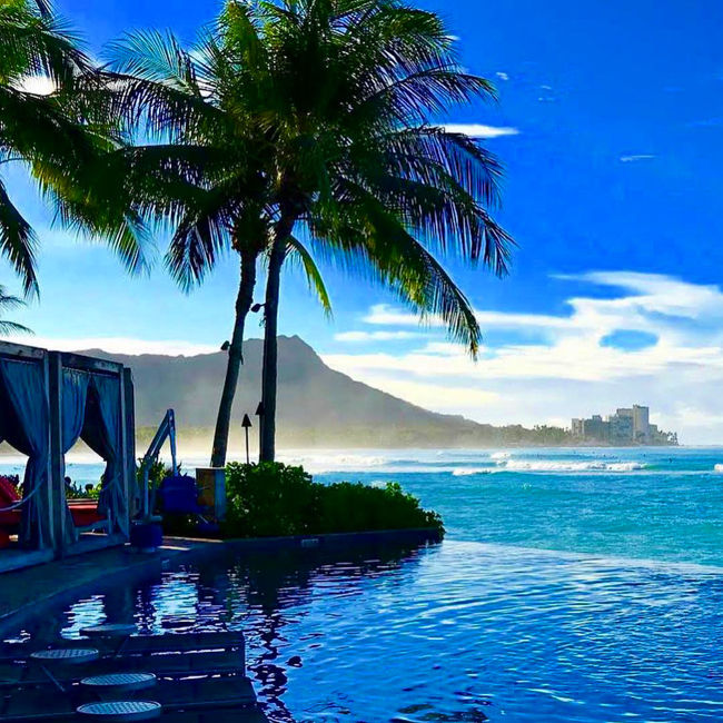 Aloha~~<br /><br />皆様、いかがお過ごしでしょうか?<br />2020年令和、突如として現れた新型コロナウイルス感染症(COVID-19)<br />(厳密には2019年12月8日に中国湖北省武漢市で発生し、その後病因不明の肺炎の集団発生を報告)<br />あれよあれよと言う間に、日本国内にも広まり<br />現在は210カ国・感染者数は290万人<br />死者は20万人を突破したとか。。。<br />此処でこれらコロナの事を述べてもどうしようも無い事ですが<br />ま!kikiさん的には<br /> Hawaiiに行けなくなった<br />コロナ馬鹿野郎ーーーーーーです<br />囧rz囧rz囧rz<br /><br />例によって、当たり前の様に恒例の5月バースデー Hawaiiを計画してワクワクして居ましたが<br />2.3月は、まさかね~?さすがに5月なら飛べるでしょ~<br />しかし!甘かった<br /> Hawaii州から、お願いだから来ないで下さいと発表が有り<br />その後、閉鎖自粛<br />そして日本自体もそれどころでは無くなり<br />。。。<br />ほんまに、コロナ馬鹿野郎ーーーーーー<br />◯国の馬鹿タレ!コウモリなんか食うな!!<br /><br />あ、すみません<br />私とした事が、取り乱し(苦笑)<br />悔しいのでキャンセルでは無く<br />単なる1回休みのHawaii<br />そんな感じで纏めてみたいと思います<br /><br />今はとにかく我慢我慢の日々<br />少しでも皆様の癒しになれば<br />そして、私達を待って居てくれる Hawaiiの為に<br />Aloha~~の精神で乗り切りましょう<br /><br />kiki (^^)<br /><br />*本日4/29に無事国内線のキャンセル手続きも完了したのでご報告させて頂きます<br />mahalo<br /><br />