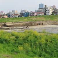 川口川沿い・清水公園をポタリング＆スシロー 楢原店 八王子 2020/04/26