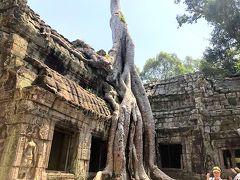 バンコク・シェムリアップ・クアラルンプール周遊旅行 ⑩　～神秘的なタプローム寺院～