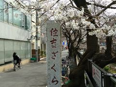 2020年桜の記録～元住吉散歩～