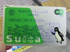 墓参&房総日帰り鉄旅・その1.のんびりホリデーSuicaパスで房総へ墓参