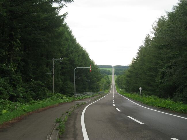 2014年夏、11日間・1020kmをかけて、北海道を自転車で回ってきました。<br />普段は車であっという間に過ぎてしまう景色も自転車だと存分の味わえました。<br /><br />今回は６日目です。<br /><br />６日目は別海から中標津に向けて北上。<br />ちょっと遠回りして開陽台と北十九号線の景色を見ながら進み、羅臼に向かいます。<br />（距離104.1km　上り757m　下り729m）<br /><br />行程<br />1日目　羽田空港⇒新千歳空港⇒浦河⇒えりも<br />2日目　えりも⇒襟裳岬⇒大樹<br />3日目　大樹⇒中札内⇒帯広⇒士幌⇒しほろ温泉<br />4日目　しほろ温泉⇒本別⇒足寄⇒阿寒湖温泉<br />5日目　阿寒湖温泉⇒弟子屈⇒別海<br />6日目　別海⇒中標津⇒開陽台⇒羅臼<br />7日目　羅臼⇒知床峠⇒知床五湖⇒ウトロ<br />8日目　ウトロ⇒斜里⇒網走⇒サロマ湖<br />9日目　サロマ湖⇒湧別⇒紋別<br />10日目　紋別⇒雄武⇒枝幸⇒浜頓別<br />11日目　浜頓別⇒猿払⇒宗谷岬⇒稚内空港⇒羽田空港