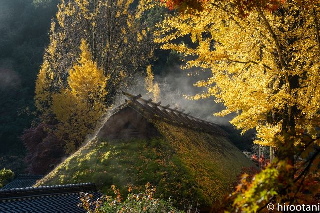 毎年訪れる香嵐渓の紅葉。ここのところ、日が昇る前に現地に行き、飯盛山の頂上で朝日を待つのが三年続いています。毎年訪れても飽きないのが香嵐渓の紅葉です。４０００本の紅葉の紅葉は全国レベルです。午後には、たくさんの観光バスが入ってくるので、通路は物凄い人になります。