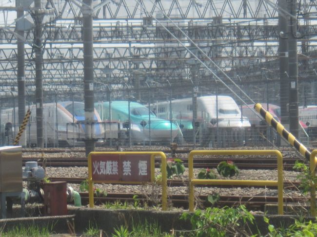 外せない用事で出たついでに、本日もソーシャルディスタンスを保ちながら駒込から田端をお散歩しました!<br /><br /><br />【表紙の写真】JR東日本東京新幹線車両センターの新幹線車両