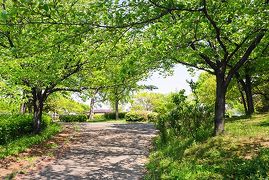 ここちよい緑と花のある癒しの空間