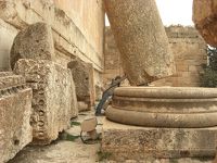 世界一周の思い出　レバノン④圧巻のバールベック遺跡