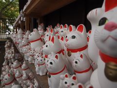 関東三十六不動霊場巡礼・第七回【前編】豪徳寺、世田谷八幡宮、松陰神社、第16番目青不動尊