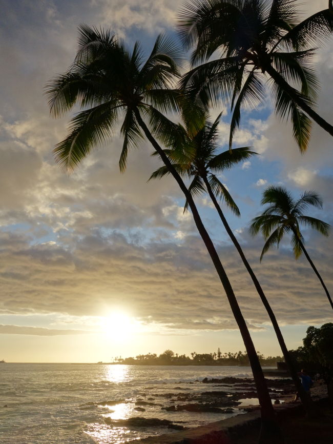 2019年のGWのハワイ島旅行記です。<br /><br />この旅行記は観光編です。オアフ島とはまた違った景色が広がるハワイ島、今回は4泊6日の短い旅なのであちこち満喫することは出来なかったですが、コーヒー農園巡りや、ペトログリフツアーはハワイ島の魅力の一つでとても良かったです。お買い物も、コナコーヒー関連商品や、お土産的な物はオアフとはまた違ったものがあるし、ワイメアタウンマーケットもオアフのファーマーズマーケットとは雰囲気や商品が違ってとても新鮮な感じです。<br />いっぽうでアウトレットやアラモアナのような大きなモールのないハワイ島、Macy&#39;sはありますが基本は現地の人向けな感じでブランド好きな人は買うものないと思います。ワイコロアのクイーンズマーケットプレイスなどもありますが閑散とした感じでした、でもそれで良いんだと思います。<br /><br />よろしければ食事編も読んでいただけると嬉しいです。<br />https://4travel.jp/travelogue/11619360<br /><br />この旅行記ほ2020年５月1日に投稿しています。コロナウイルスで、このGWはどこも行けないですが、Stay Home おうちにいましょう。その代わりに皆さんの旅行記で旅行気分を満喫しましょう！