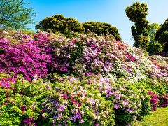 行橋・豊前の旅行記