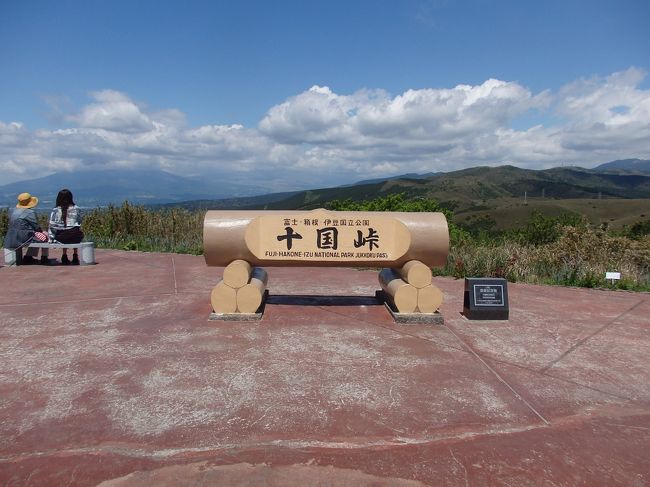 低山歩き 静岡県熱海市 岩戸山 標高734M(登り標高差30M、下り標高差330M) 全工程2時間57分 十国峠ケーブルカー登り口駅⇒(ケーブルカー3分)十国峠駅~(1分)十国峠山頂(14分)~(16分)日金山東光寺~(41分)岩戸山(32分)~(51分)ツツジ園~(22分)姫の沢公園バス停<br />「日時」2019年5月7日 晴れ<br />「アクセス」JR熱海駅より、元箱根行バスで十国峠ケーブルカー登り口駅下車(所要42分)、ケーブルカーで十国峠駅へ(所要3分)<br />「参考案内書」関東周辺週末山登りベスト120<br />