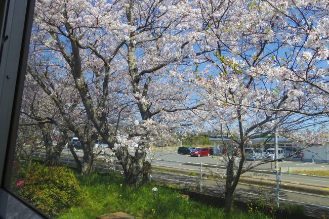 松浦鉄道に初めて乗って日本最西端の駅を目指す旅行記です。<br />途中駅の桜が満開で凄かったです。<br />駅での写真しかない旅行記です。<br />九州満喫旅行記パート２の続きになります。