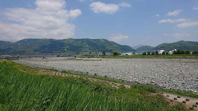 酒匂川サイクリングコースで運動した