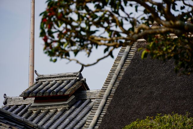 奈良県生駒郡安堵町は、法隆寺のある斑鳩町の南東部に隣接する町で、江戸時代初期は綿や藺草の栽培が盛んな純農村地帯でしたが、天保年間（１８３０年～１８４３年）には、大和川水運の拠点として舟問屋を中心にあらゆる商店が軒を連ねる町並みが形成され、半農半商の在郷町的な川湊町へと発展しました。<br /><br />この地域は、富雄川、岡崎川などの支流が大和川と合流する奈良盆地で最も低い場所で、古くから水害に悩まされていたため、江戸時代に、西安堵、東安堵、笠目、窪田、岡崎の五か村で大和川の水利権を含めた広域防災協定である「五ヶ村勘定」が結ばれましたが、これを礎として、明治時代に安堵町として合併しました。<br /><br />現在の安堵町には、この地方独特の建築様式である大和棟の民家が点在する町並や、室町時代の環濠住宅の形式を今に伝える旧家などが残っていて、落ち着いた農村集落の風情をたたえています。<br /><br />安堵町を貫流する岡崎川の南側に位置する窪田地区には、二重の濠に囲まれた中家住宅を中心とする環濠集落があります。<br /><br />中家は、現在の三重県鈴鹿市で足立氏と称していた土豪で、足利尊氏に従って大和に入り、窪田姓を名乗ってこの地に居を構えたのを始まりとして、明徳２年（１３９１年）に名を窪田中氏と改めて岡崎、窪田、笠目の地を拝領し、大和国の戦国大名の筒井一族の武士となって活躍した旧家です。<br /><br />中世の典型的な環濠邸宅の構えを伝える中家住宅は、表門、主屋、新座敷、各種蔵、牛小屋、持仏堂などの建物がある屋敷を外濠と内濠の二重の濠が取り巻き、外濠と内濠の間には鬱蒼とした竹藪が茂っています。