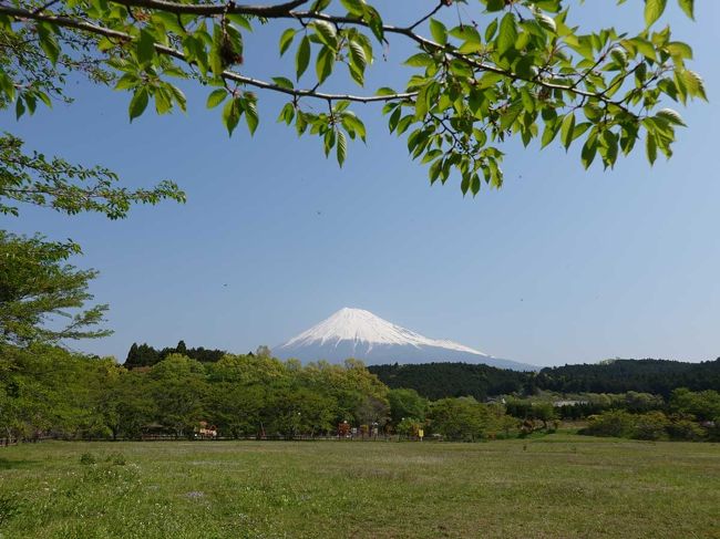 散歩・大渕周辺 2020.04.30 ＝1.大渕公園＝