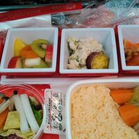 マダム　人生初のフランス旅　１・２日目　成田～パリ、シャルトル、ロワール