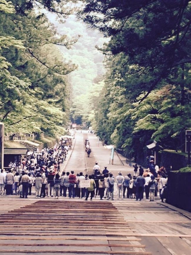 徳川家康公没後400年のため「東照宮大四百年式年大祭」が2015年5月17日に行われました。<br /><br />家康公は1616年に駿府城で亡くなったのですが、日光東照宮では50年に一度大祭を行なっているそうです。<br /><br />私が習っている日本舞踊の会では定期的に伊勢神宮へ伊勢音頭などの踊りを奉納に行っていました。また毎年5月17日には日光東照宮へ踊りを奉納するのが会の習わしでした。<br /><br />が、踊りの名取のお姉さま達が75歳を過ぎますと皆さん突然足腰が弱り、一人減り二人減り、と踊り手さんが少なくなり、2年ほど前から参加を辞めました。今では良い思い出となってしまいました。因みに大先生は80歳を過ぎた今も新型コロナウィルスにも負けずピンシャンしていて現役のお師匠さんです。流石です。もちろんお稽古は自粛中ですが。<br /><br />写真は踊りを披露する日光杉並木のある表参道。<br />奉納の後または翌日に流鏑馬があり、この日は翌日の流鏑馬の前に馬慣らしをしていました。