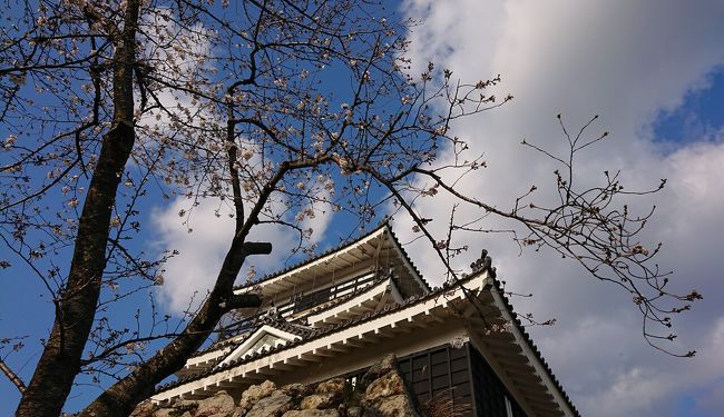 桜のシーズンが訪れながらも、集まることが躊躇われるようになった4月2日、通りかかった浜松城公園を記録しました。