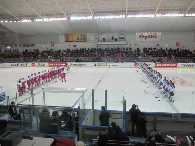 スマイルジャパン  平昌オリンピック直前の国際親善試合 観戦