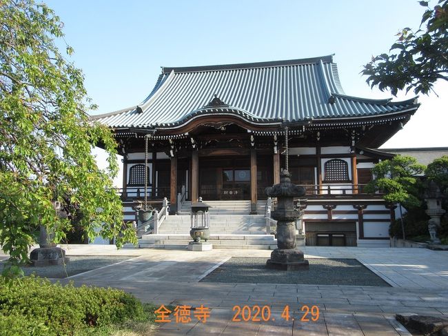 梅林山全徳寺 2020.4.29<br /><br />新型コロナウィルスの感染防止のために外出の自粛要請が出ていますが、運動不足解消のために4月下旬より始めた早朝ウォーキングの3回目は所沢市北野の全徳寺までの往復。通常のウォーキングコースではなくほとんどが車道のため、すれ違う歩行者はほとんどおらず、接触感染の心配はまったくなかった。<br /><br />コース概要<br />自宅→松岡公園→小手指陸橋→市民プール北(交差点)→国道463バイパス(所沢入間バイパス)→所沢西高校入口(交差点)→北野小学校→北野総合運動場裏→県道179(所沢青梅線)→梅林橋(東川)→全徳寺→(同じ道を所沢西高校入口まで戻る)→所沢西高校→砂川堀調整池→小手指車両基地暗渠→自宅<br />今回は100分コースで、前の2回より距離が10%ほど長かった。<br />歩数計8524歩<br />撮影 Canon PowerShot SX610HS<br /><br />全徳寺は早春の蝋梅が有名で、以前旅行記を書いたことがある。<br />小さな旅 厳寒に春を求めて 残雪とロウバイの梅林山全徳寺<br />https://cdn.4travel.jp/img/tcs/t/pict/src/37/28/19/src_37281952.jpg?1422969434<br />https://4travel.jp/travelogue/10641806<br /><br />小さな旅 小手指・北野の節分・立春の花/ミニかまくら <br /> https://cdn.4travel.jp/img/tcs/t/pict/src/21/34/79/src_21347973.jpg?1300236014<br />https://4travel.jp/travelogue/10542814<br /><br />季節の街歩き2020年4月 早朝ウォーキング<br />https://4travel.jp/travelogue/11618608<br />類似のコースのウォーキングの記録<br />小手指の早朝ウォーキング・花めぐり 北野コース2016<br />https://4travel.jp/travelogue/11120007<br />小手指の早朝ウォーキング・花めぐり 北中コース2016 <br />https://4travel.jp/travelogue/11121310<br /><br />2020.5.4投稿