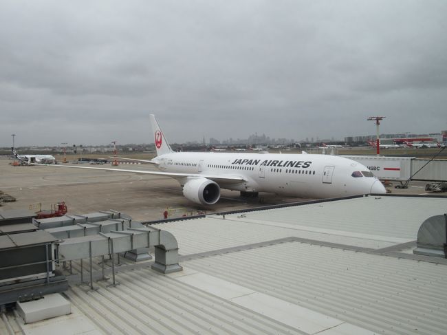 2019年は色々飛行機に乗ったとして、あともう1往復すれば初のダイヤモンド(ワンワールドエメラルド)に到達することができることが分かったので、12月に南半球のクリスマスを見にオーストラリアへ。<br />ちょうどこの頃のオーストラリアは森林火災の影響でいろいろ閉鎖だったり飛行機のフライトにも影響が出始めていて気をもんだ旅行となりましたが無事に行ってくることができました。<br /><br />4日目、帰国日。この日は朝に空港に行ってそのまま帰国するだけです。あっという間のオーストラリアでした。