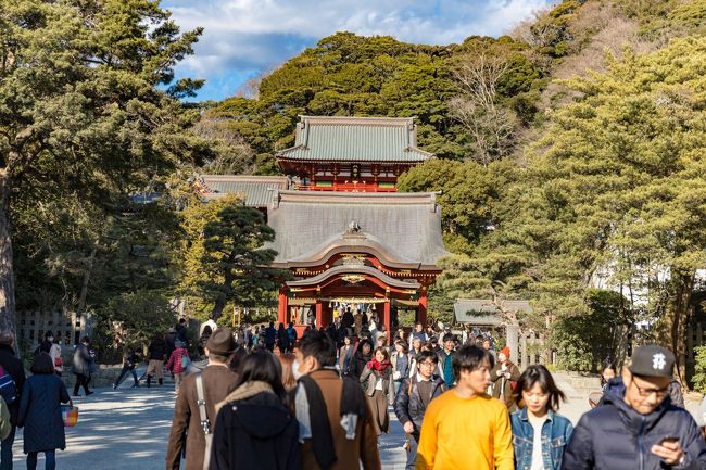 鎌倉/藤沢/江ノ島/平塚/大磯/茅ヶ崎/寒川エリアをぐるりと巡る旅。<br />東京都心から近く相模湾に面した湘南地方、神奈川県南部を指す地名で使われ観光資源も豊富で夏を中心に多くの観光客が集めています。湘南海岸を俯瞰できる場所として知られている湘南平、関東三大七夕祭りの1つ湘南ひらつか七夕まつりの平塚。吉田茂等の著名人の別荘があり要人の避暑地として栄え現代は大磯ロングビーチ等で有名な大磯町。えぼし岩やサザンビーチ茅ヶ崎、サザンオールスターズの桑田佳祐の出身地で知られる茅ヶ崎。9世紀の文献に登場する古社の寒川神社がある寒川。名勝日本百景の江ノ島には日本三大弁天の江ノ島神社や江ノ島展望灯台・稚児ヶ淵・江の島岩屋・新江ノ島水族館等があり夏季は多くの観光客が足を運びます。海、マリンレジャーのイメージが強い鎌倉/藤沢/江ノ島/平塚/大磯/茅ヶ崎/寒川エリアをぐるりと巡ってみました。<br /><br />□■□■□■□■□■□■□■□■□■□■□■□■□■□■□■<br /><br />鎌倉/湘南ぐるり旅、今回は鎌倉にある鶴岡八幡宮へ行って来ました。鎌倉のランドマークとも言えるだけあり、この日に訪れた寺社の中で最も込み合っていました。訪れた日は、牡丹が見頃を迎えていたため、綺麗な牡丹を見ることができました。<br /><br />□■□■□■□■□■□■□■□■□■□■□■□■□■□■□■<br /><br />＜鶴岡八幡宮＞<br />https://www.hachimangu.or.jp/<br /><br />□■□■□■□■□■□■□■□■□■□■□■□■□■□■□■<br /><br />＜神奈川ぐるり旅＞<br />【1】横浜中華街<br />http://4travel.jp/traveler/dekadora/album/10537642/<br />【2】コスモワールド　2010～2011カウントダウン<br />http://4travel.jp/traveler/dekadora/album/10539281/<br />【3】川崎大師の参道＆初詣2011<br />http://4travel.jp/traveler/dekadora/album/10539295/ <br />【4】長谷寺[あじさい]<br />http://4travel.jp/traveler/dekadora/album/10684901/<br />【5】高徳院鎌倉大仏殿<br />http://4travel.jp/traveler/dekadora/album/10685272/<br />【6】光則寺<br />http://4travel.jp/traveler/dekadora/album/10686336/<br />【7】御霊神社<br />http://4travel.jp/traveler/dekadora/album/10687189/<br />【8】成就院[あじさい]<br />http://4travel.jp/traveler/dekadora/album/10687610/<br />【9】極楽寺<br />http://4travel.jp/traveler/dekadora/album/10688444/<br />【10】江ノ電<br />http://4travel.jp/traveler/dekadora/album/10688621/<br />【11】円覚寺<br />http://4travel.jp/traveler/dekadora/album/10689190/<br />【12】東慶寺<br />http://4travel.jp/traveler/dekadora/album/10689814/<br />【13】浄智寺<br />http://4travel.jp/traveler/dekadora/album/10690114/<br />【14】明月院[あじさい]<br />http://4travel.jp/traveler/dekadora/album/10691904/<br />【15】建長寺<br />http://4travel.jp/traveler/dekadora/album/10692228/<br />【16】ヴェルニー公園<br />http://4travel.jp/traveler/dekadora/album/10701400/<br />【17】三笠公園＆記念館「三笠」<br />http://4travel.jp/traveler/dekadora/album/10702688/<br />【18】どぶ板通り＆横須賀ネイビーバーガー <br />http://4travel.jp/traveler/dekadora/album/10702912/<br />【19】江ノ島＆江ノ島神社<br />http://4travel.jp/traveler/dekadora/album/10704075/<br />【20】江の島サムエル・コッキング苑&amp;江の島シーキャンドル<br />http://4travel.jp/traveler/dekadora/album/10704344/<br />【21】稚児ヶ淵&amp;岩屋<br />http://4travel.jp/traveler/dekadora/album/10704939/<br />【22】仙石原ススキ草原(秋)<br />http://4travel.jp/traveler/dekadora/album/10746183/<br />【23】大涌谷<br />http://4travel.jp/traveler/dekadora/album/10747130/<br />【24】星の王子さまミュージアム 「ル・プチ・プランス」<br />http://4travel.jp/traveler/dekadora/album/10748925/<br />【25】星の王子さまミュージアム 箱根サン＝テグジュペリ<br />http://4travel.jp/traveler/dekadora/album/10749304/<br />【26】箱根ガラスの森美術館[前編] <br />http://4travel.jp/traveler/dekadora/album/10749930/<br />【27】箱根ガラスの森美術館[後編] <br />http://4travel.jp/traveler/dekadora/album/10750599/ <br />【28】藤子・F・不二雄ミュージアム<br />http://4travel.jp/traveler/dekadora/album/10759868/<br />【29】生田緑地バラ園[秋バラ]<br />http://4travel.jp/traveler/dekadora/album/10760544/<br />【30】小田原城址公園　あじさい・菖蒲まつり2013【前編】<br />http://4travel.jp/travelogue/10850985<br />【31】小田原城址公園　あじさい・菖蒲まつり2013【後編】<br />http://4travel.jp/travelogue/10852280<br />【32】横須賀菖蒲園<br />http://4travel.jp/travelogue/10857999<br />【33】横浜アンパンマンこどもミュージアム＆モール<br />https://4travel.jp/travelogue/11335209<br />【34】八景島シーパラダイス<br />https://4travel.jp/travelogue/11609697<br />【35】報国寺(鎌倉）<br />https://4travel.jp/travelogue/11615190<br />【36】杉本寺(鎌倉）<br />https://4travel.jp/travelogue/11616838<br />【37】浄妙寺＆石窯ガーデンテラス<br />https://4travel.jp/travelogue/11618821<br />【38】鶴岡八幡宮(鎌倉）<br />https://4travel.jp/travelogue/11620713