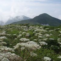 追憶　花の朝日連峰