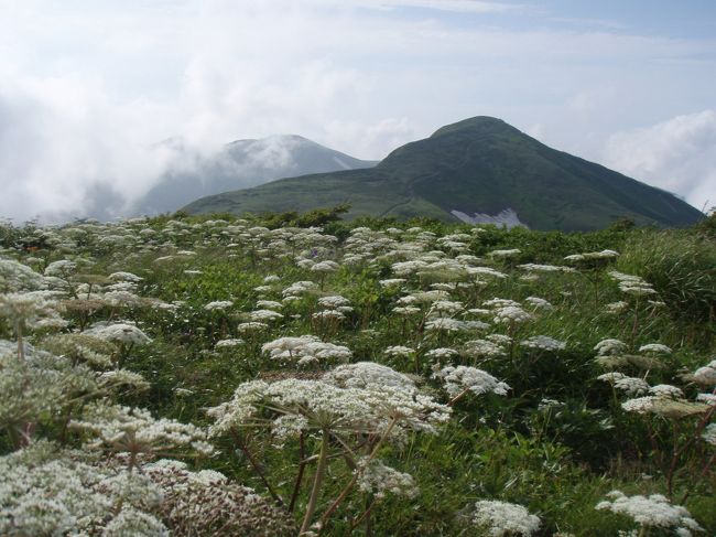 2009年夏の記録です。<br />朝日連峰はアクセスが悪くなかなか行きにくい山域ですが<br />ゆったりした稜線と素晴らしい花畑を楽しめました。<br />また行けるかな、行きたいな の気持ちをこめて。<br /><br />日程<br />8月2日(日)東京発夜行バス乗車<br />8月3日(月)鶴岡でバス下車ーバス乗り継ぎで泡滝ダムー徒歩でタキタロウ山荘(泊)<br />8月4日(火)大鳥池－以東岳ー狐穴避難小屋(泊)<br />8月5日(水)狐穴小屋ー寒江山ー西朝日岳ー大朝日小屋(泊)<br />8月6日(木)朝日岳ー小朝日岳ー朝日鉱泉ーバスで左沢駅ー鉄道で高畠駅フォルクローロ高畠(泊)<br />8月7日(金)高畠駅ー新幹線で帰京<br /><br />4travelに登録間もない時期に作成した過去レポがありますが<br />当時は1つの旅行記に20枚程度の写真しか入れていませんでした。<br />重複している写真もありますが、こちらは花の写真中心に作成しました。<br />cf<br />2009朝日連峰縦走　https://4travel.jp/travelogue/10388457<br /><br />