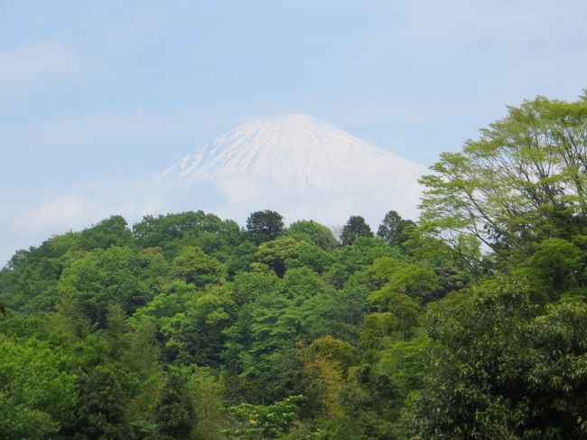 富士山一周サイクリングに再挑戦。前回はこちら」https://4travel.jp/travelogue/11566867<br />　前回に懲りて、自宅から輪行で富士山近くの興津まで行きます。Ｒ52で富士宮市まで行き、富士宮市から左回りで富士のすそ野を一周して、富士市から輪行で帰って来ます。<br />　5月1日から4日の4日間の予定で走りましたが、4日は雨予想なので、できれは4日は輪行日にして帰れれば良いなと思っていましたが、意外に早く周れて3日の夕方には家に帰ることができました。雨に降られなくてよかったです。