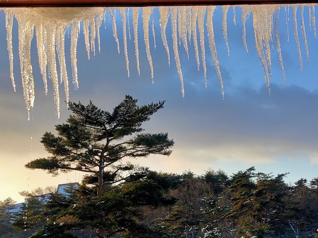 草津は関東では近場なのでいつでも行ける、でもそこそこ時間はかかる、ので今まで行ったことがありませんでした。<br />ホテル　ビレッジは新宿からの送迎バスがあるので、リーズナブルと選択しました。朝　新宿を発つ時はいい天気だったのが、草津に入ると雪がちらほら、山間部に入ると吹雪になってびっくり。二時間遅れの到着になりました。その後天気予報で草津は豪雪地帯(笑)だと知りました。でもみどりが多くてのんびりしたいいところです。今度は夏に行きたいですね。