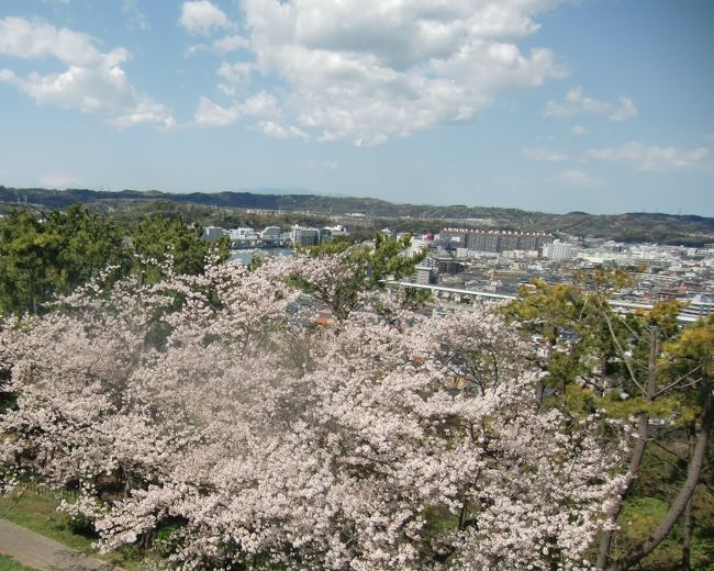 横浜市金沢区の金沢シーサイドライン野島公園駅~金沢八景駅の平潟湾北側の気になるスポットを所用を兼ねてウィルス対策のため3密を避けながら手短に散歩して小旅行気分を味わった。<br />写真は野島公園展望台から散策エリアを別途撮影したもので、中央左が金沢八景駅近くの平潟湾、その右手が今回の散策エリア。写真では分かりにくいが左手には富士山も眺められる。今年はソメイヨシノの見頃が長持ちし、満開の時期に展望台から撮影できた。
