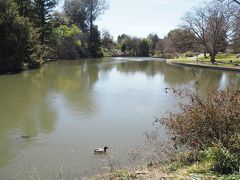 UC Davis Arboretum