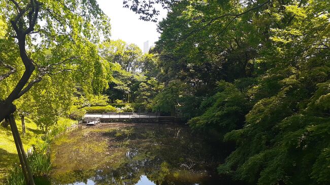 浜松城公園＆浜松市内中心部散策記　2020・05